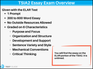 tsi practice test writing essay